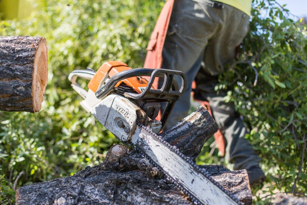 Chainsaw on cut down tree while arborist works in the background